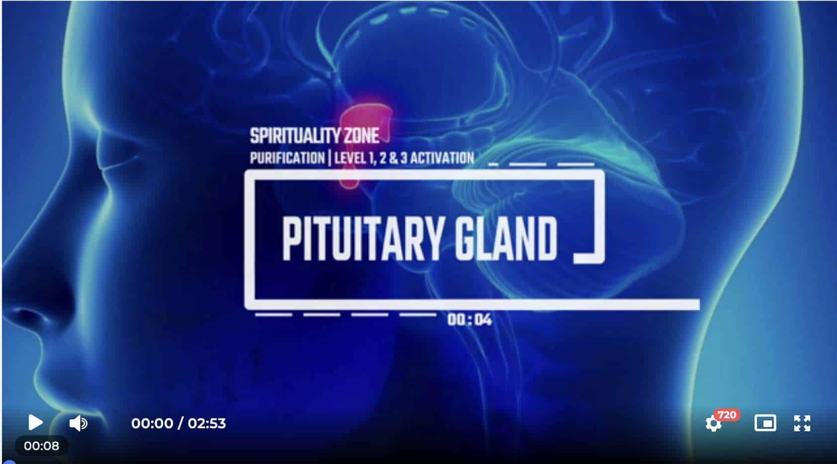 Pituitary Gland Purification + Level 1, 2 & 3 Activation
