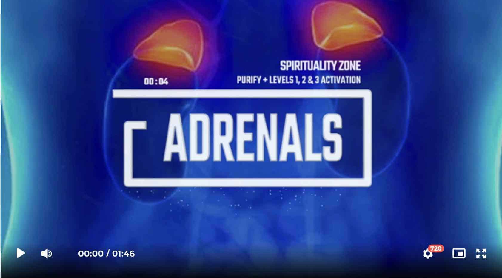 Adrenal Master Gland – Purification + Level 1, 2 & 3 Activation