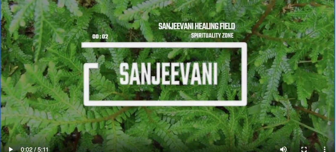 Sanjeevani Healing Field