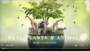 Heal Plants & Animals