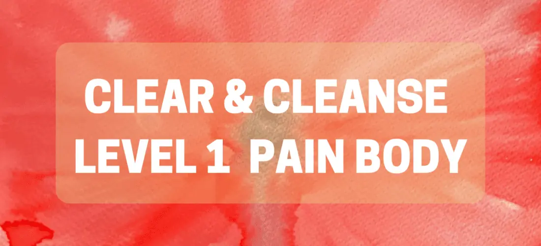 Clear & Cleanse L1 Pain Body