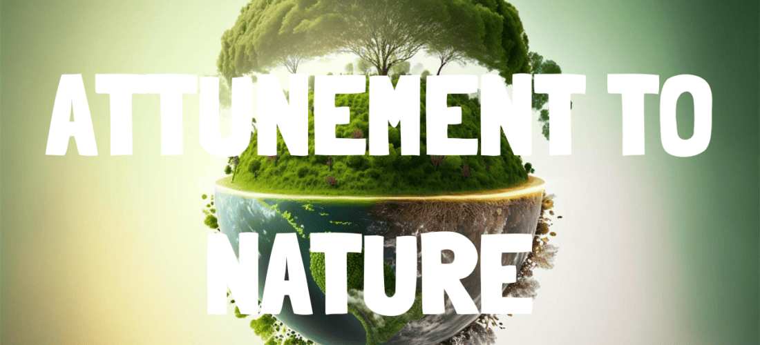Attunement To Nature